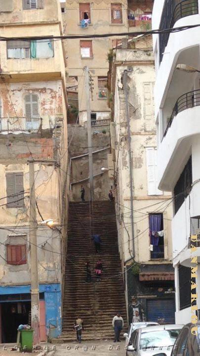 ORAN-Rue de Rome ( la  Marine ).jpg